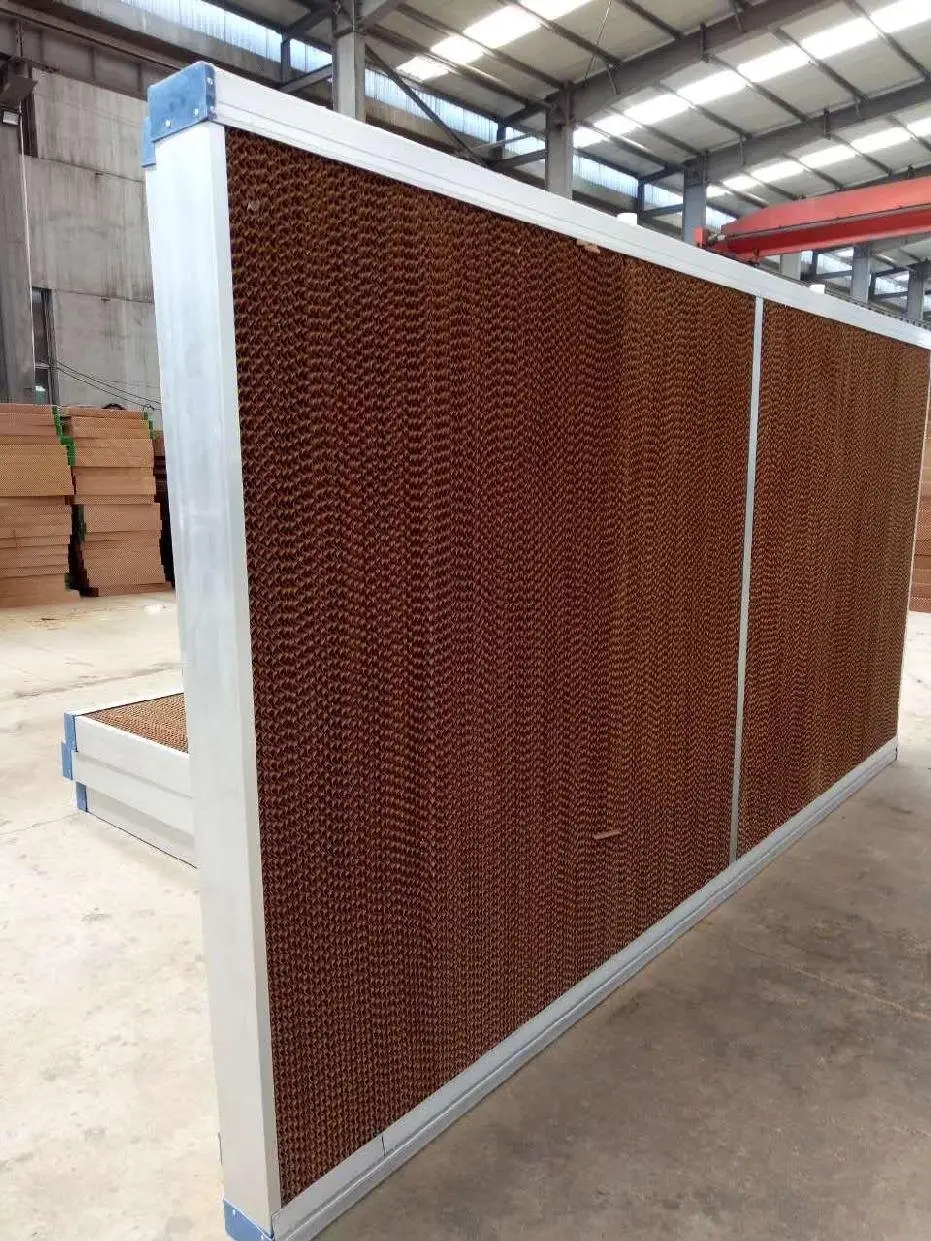 1679985219785163.jpg 1679985219785163.jpg